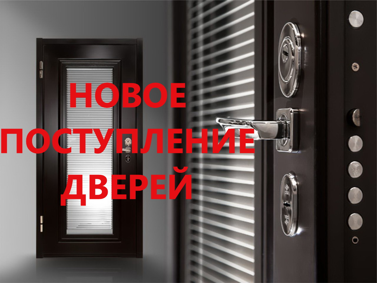 Новое поступление входных и межкомнатных дверей